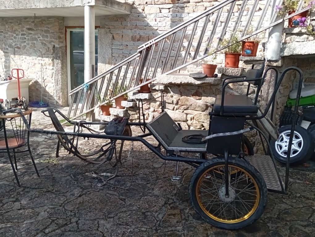 Vendo charrete e arreios