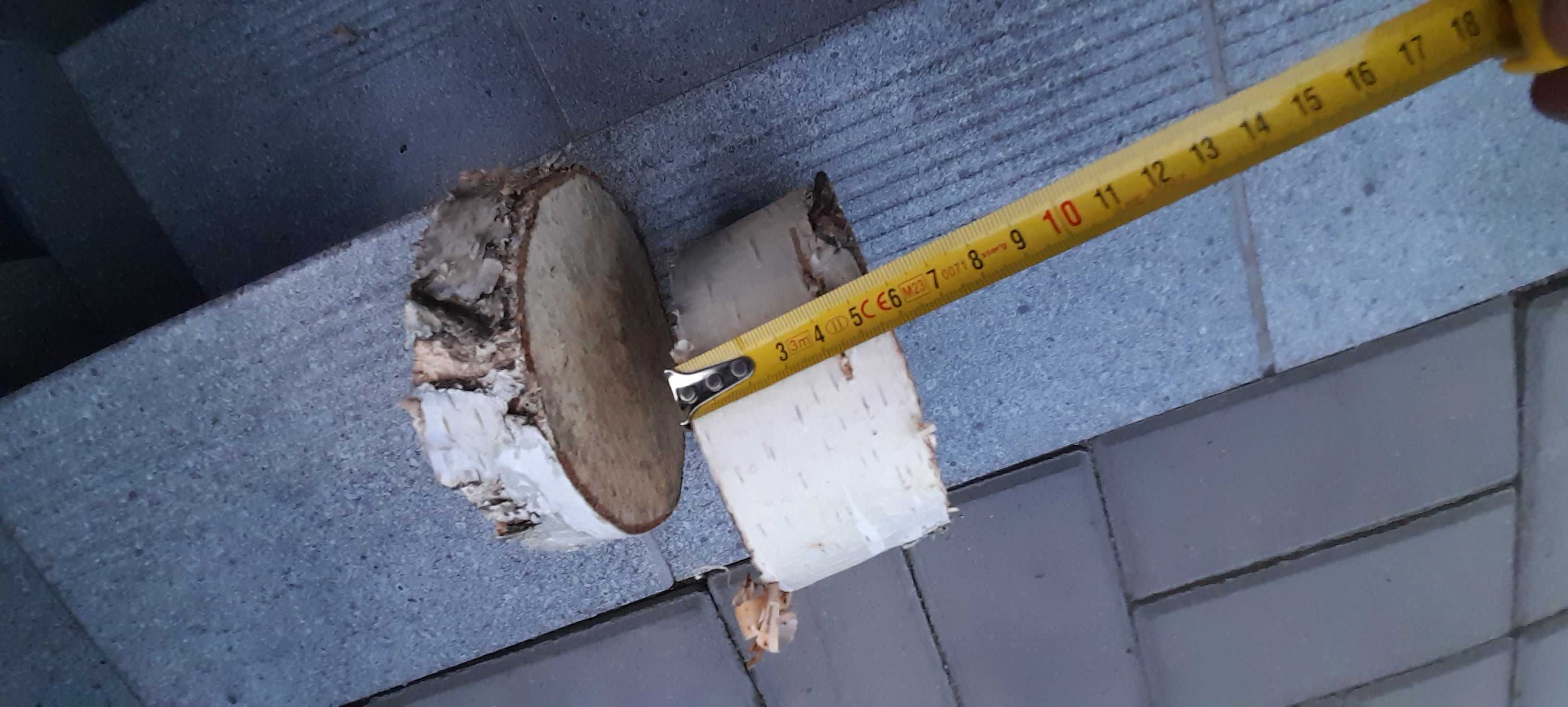 Plaster drzewa brzoza na stroik 2 szt