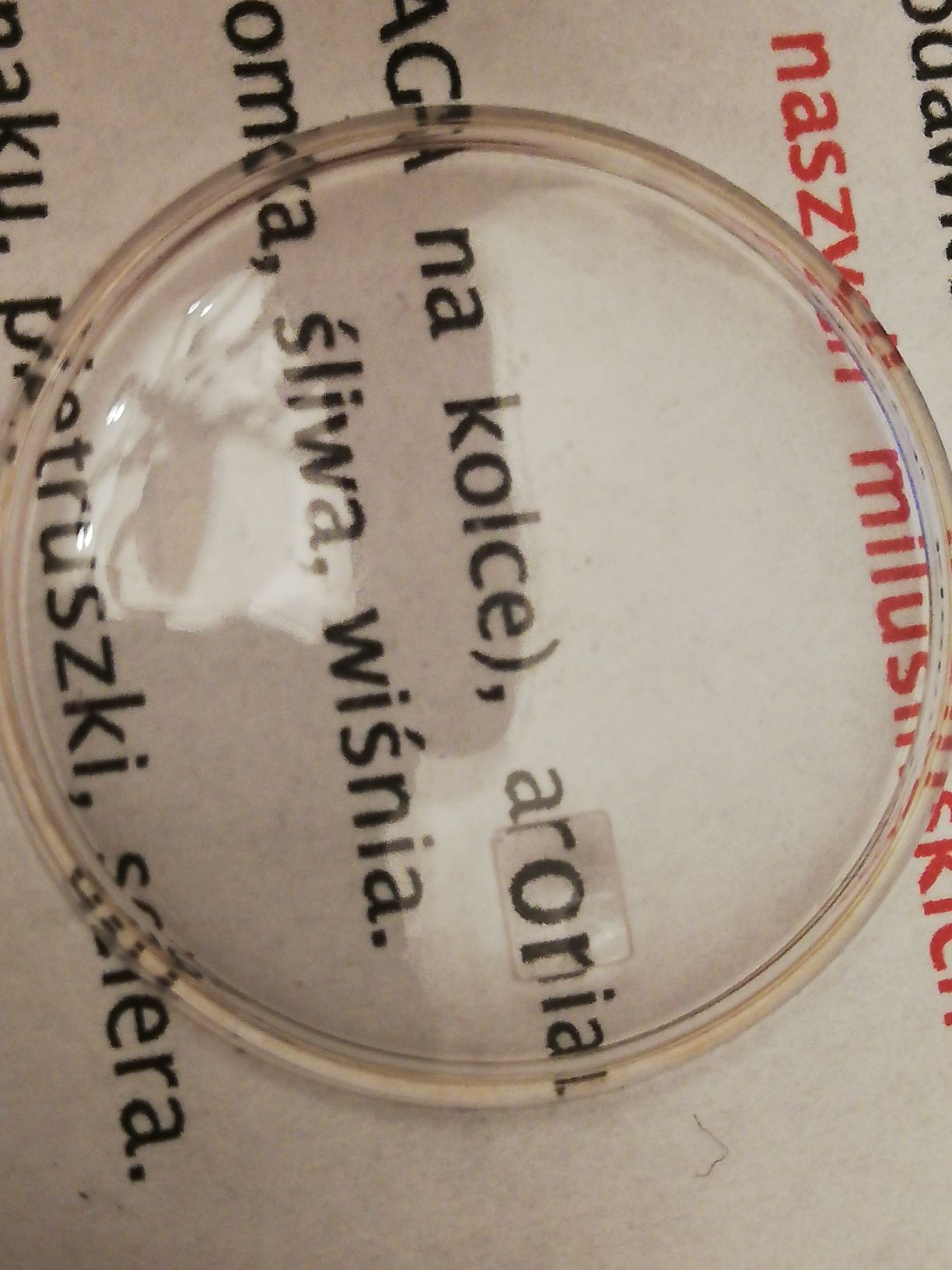 Sprzedam nowe szkło hesalitowe do zegarka z lupą do daty