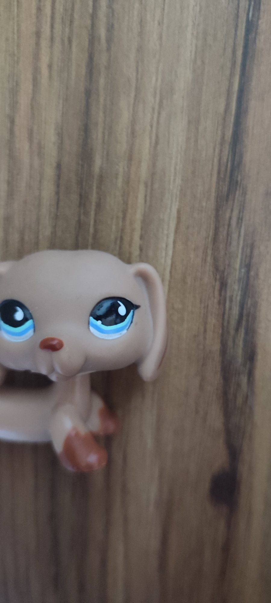 Littlest pet shop pop jamnik
