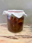 Kombucha - scoby + starter