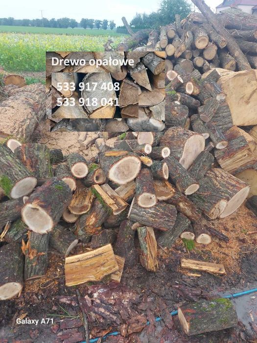 Drewno opałowe drzewo sosna dąb jesnion buk