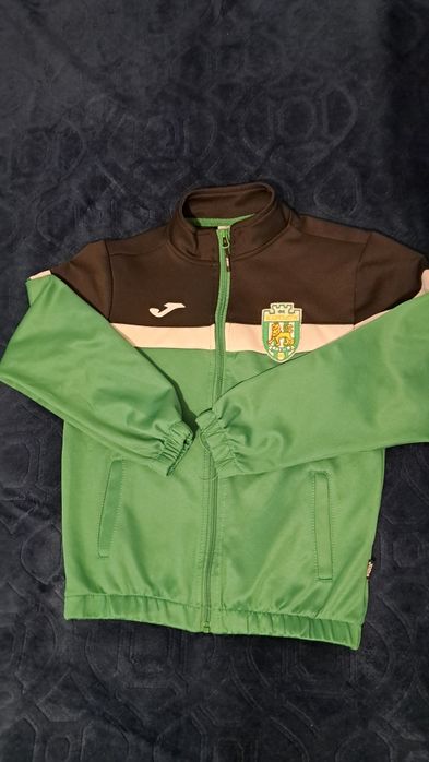 Мастерка-олімпійка Карпати