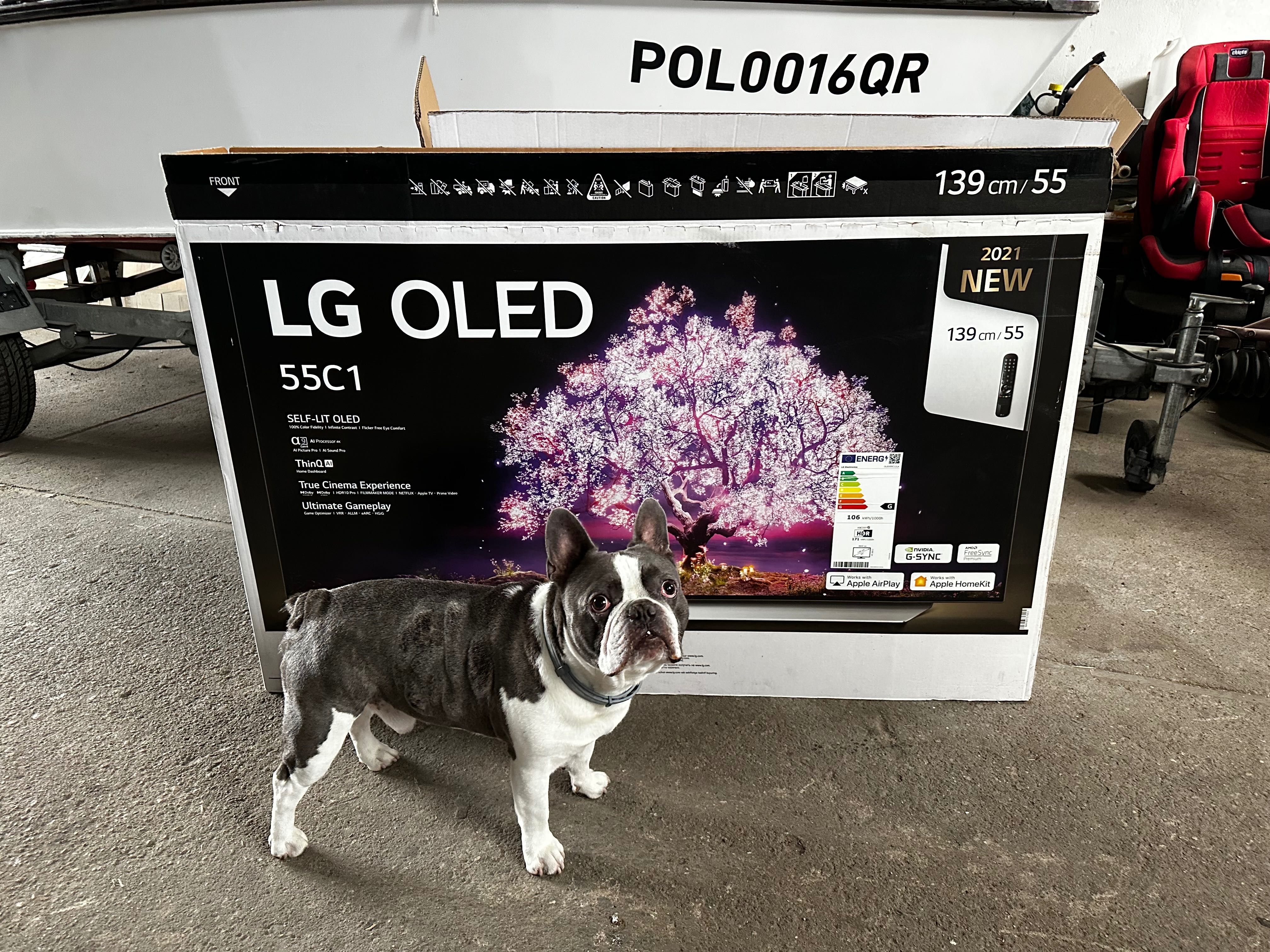 LG OLED C1 55 cali