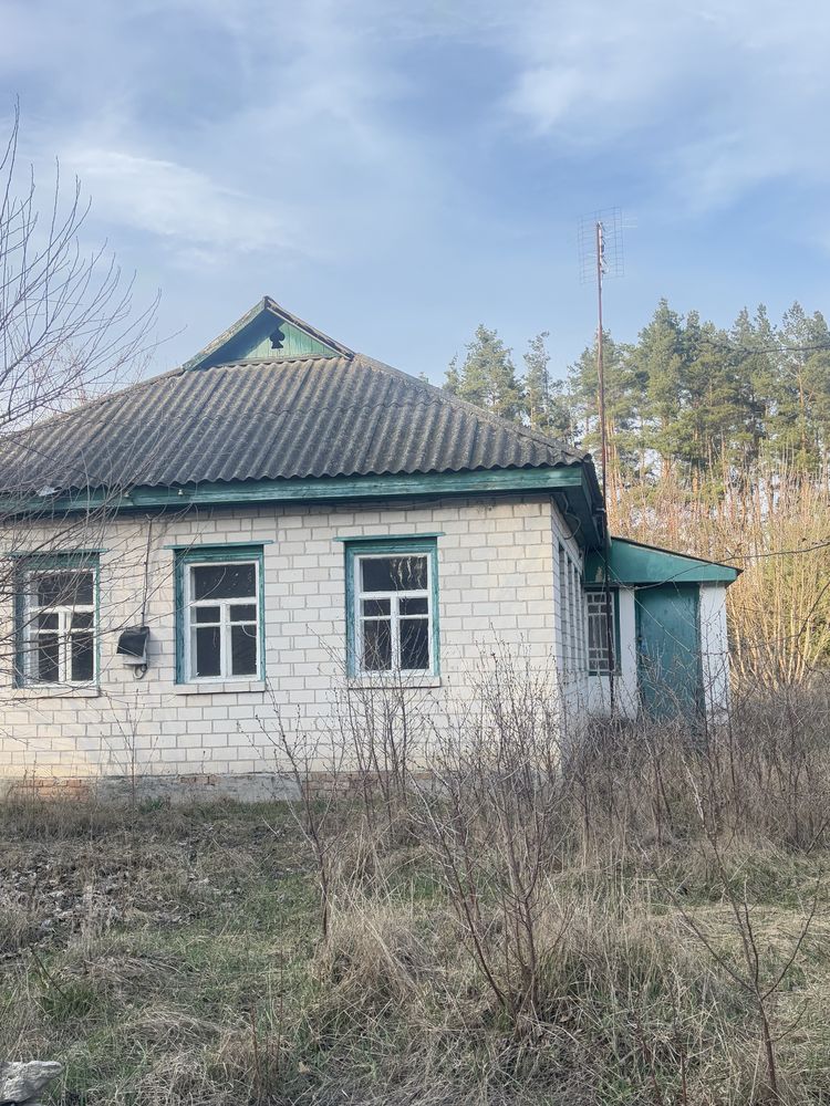 Будинок біля лісу 20 хвилин від Черкас