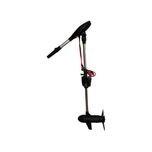 Silnik elektryczny HASWING PROTRUAR 4.0 G - 24V