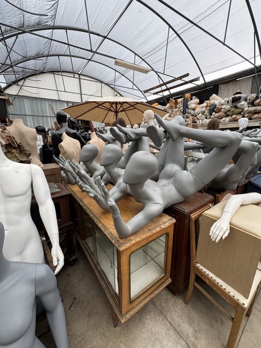 Manequins/Bustos usados para venda!