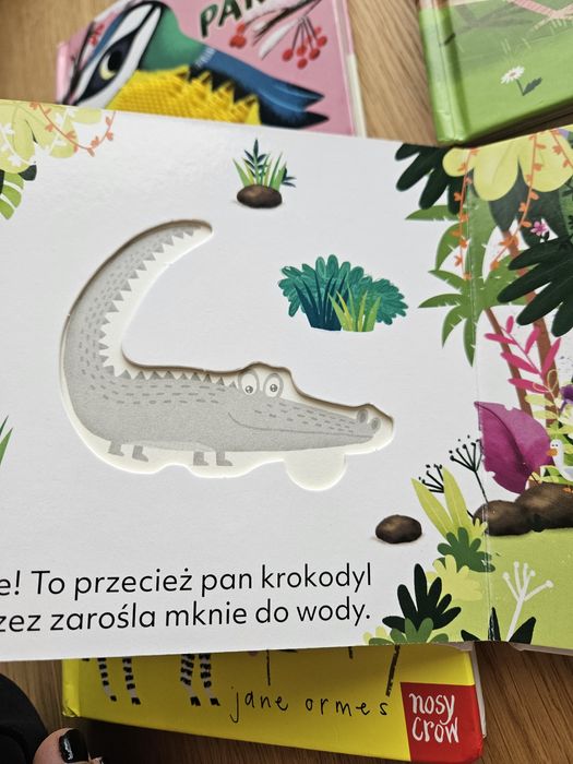 11 książek dla dzieci cena za całość