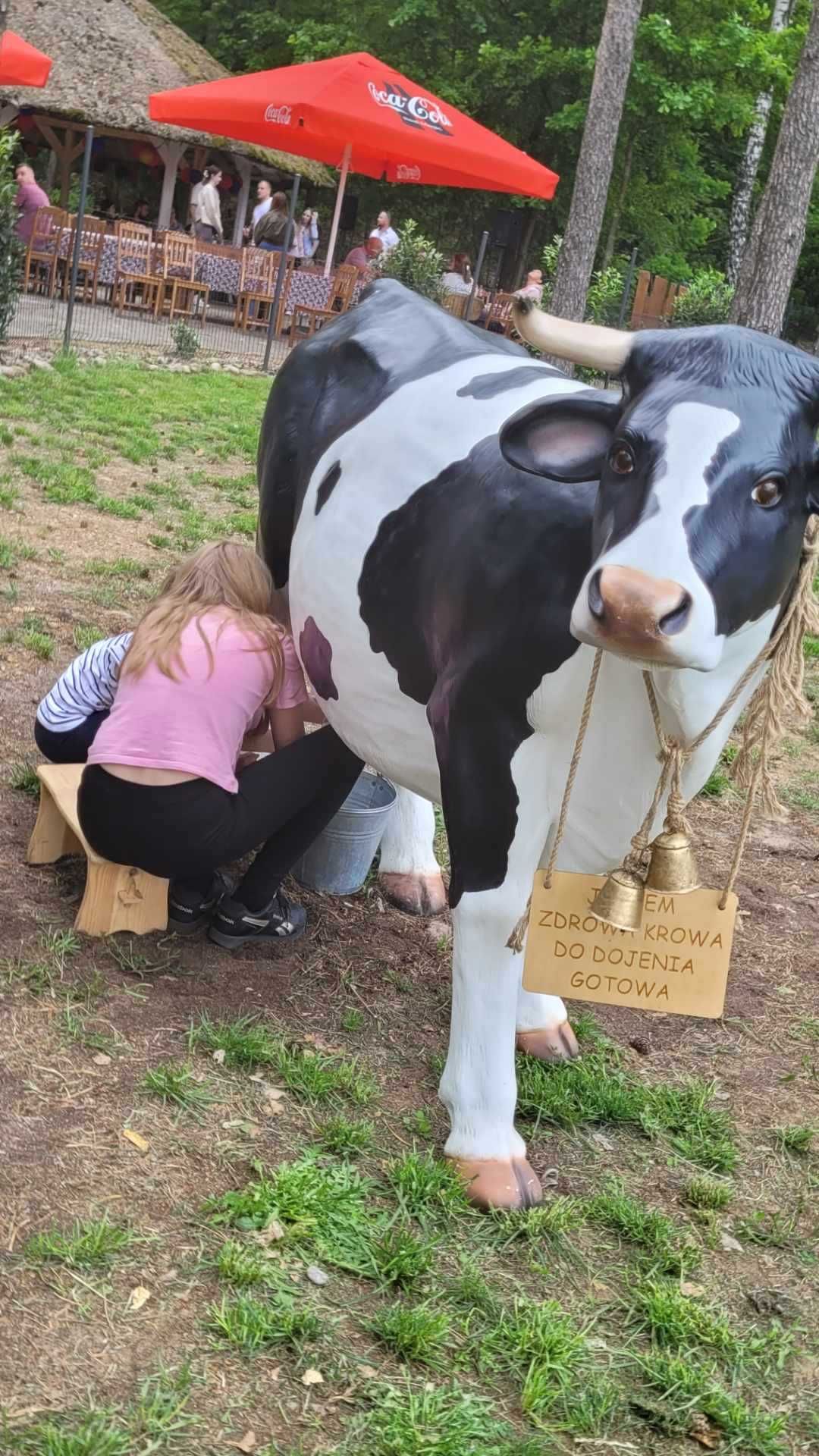 Zamki dmuchane, zjeżdżalnie, dmuchańce, animatorzy
