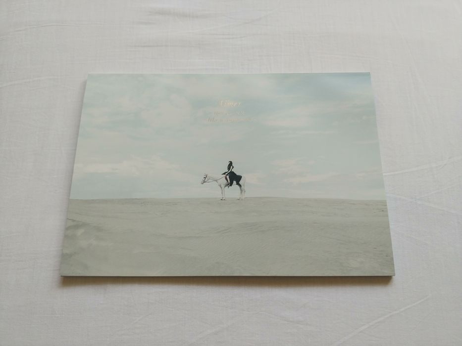 Aimer like a daydream official pamphlet oficjalny photobook j-pop jpop