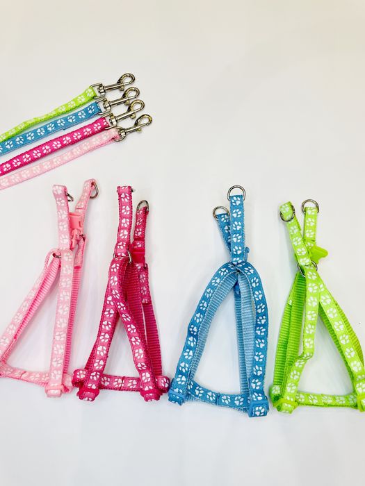 Zestaw Szelek + Smycz