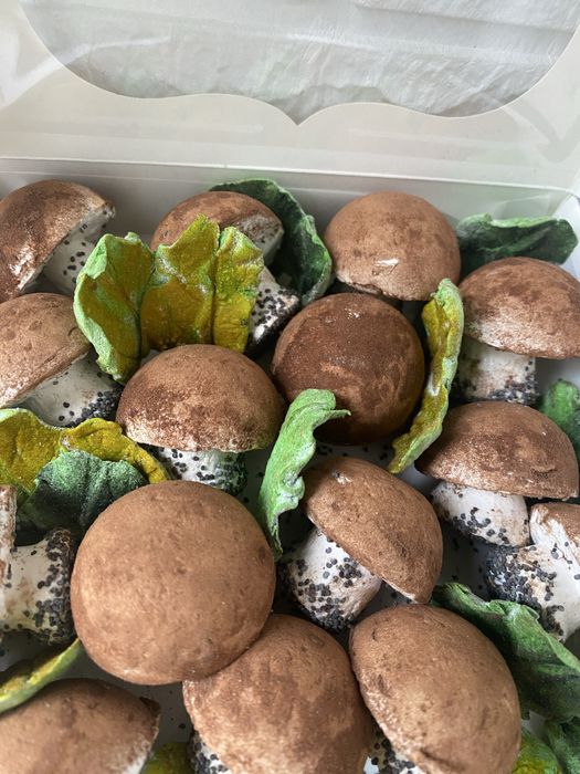 Зефір натуральний( виготовлю на ярмарку),пташине молоко,мʼясні снеки