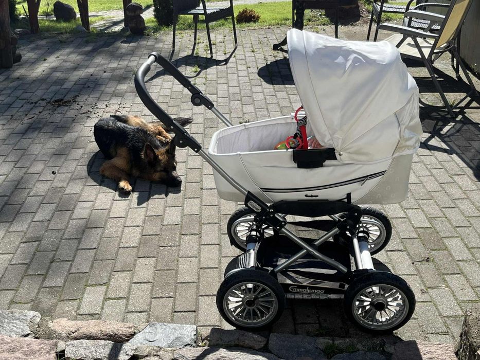 Wózek Emaljunga City Cross Szwedzki 3w1