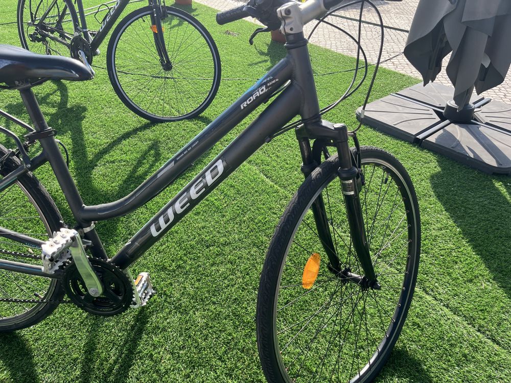2 City bikes| Bicicletas de cidade