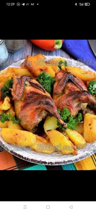 Перепілка тушка.Своя невеличка ферма