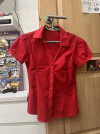 Bluzka - koszula czerwona z krótkim rękawem