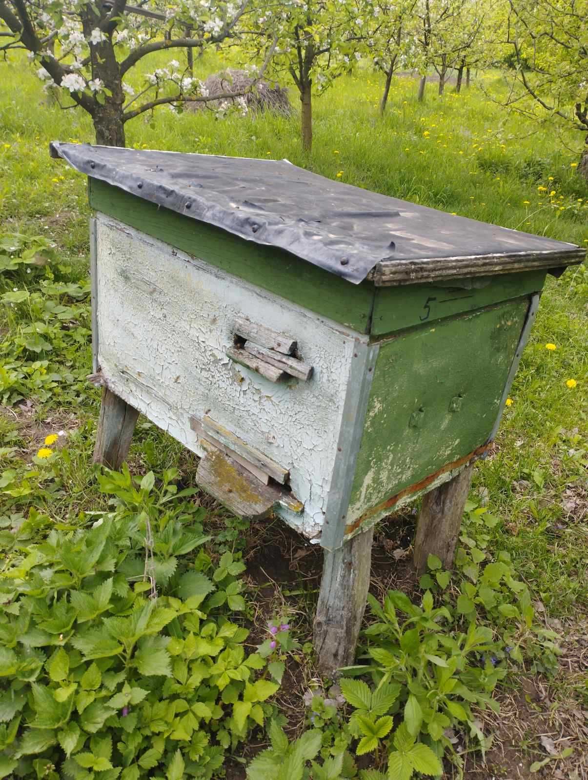 Продаю вулики разом із бджолами