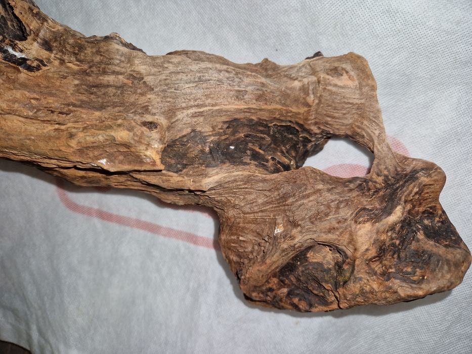 Korzeń do akwarium Old Pine Wood M69