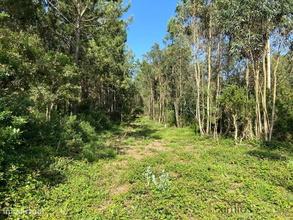 Venda de Terreno em Labruge, a 800 m da praia