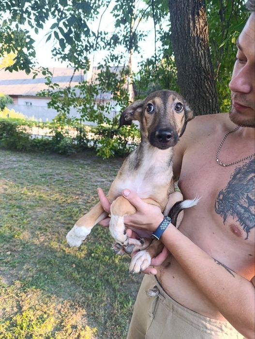 Малюки в родини!