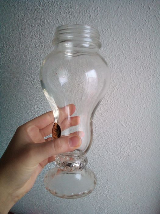 Frasco de vidro (terrarium)