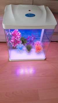 Akwarium z roślinami 19L LED