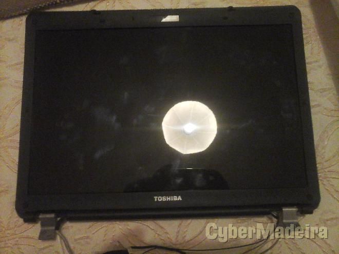 Ecran de pc portatil toshiba L300 e base