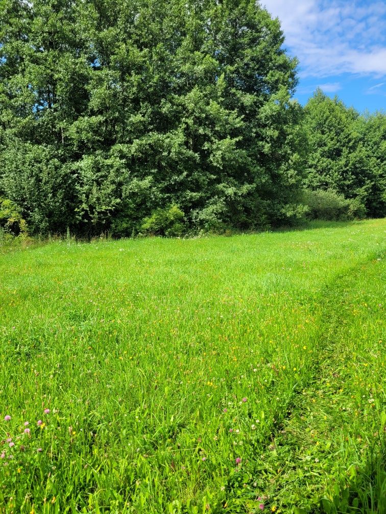 Działka rolno-budowlana