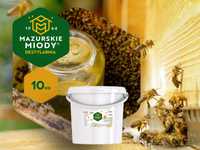 Syrop – pokarm dla pszczół wiadro 10kg inwert | MazurskieMiody.pl
