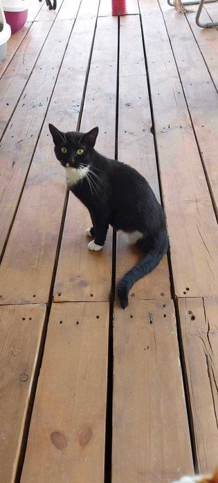 ZUSKA - Schronisko dla Zwierząt w Ostródzie