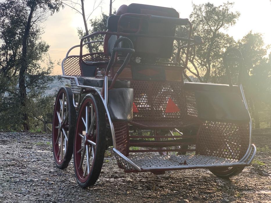 Charrete/ Maratona Competição