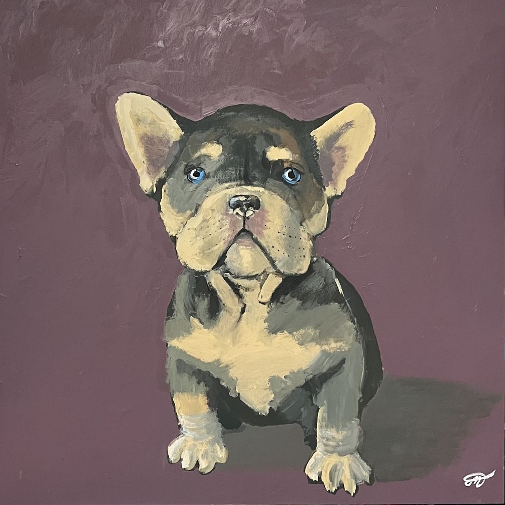 Obraz Buldog Francuski