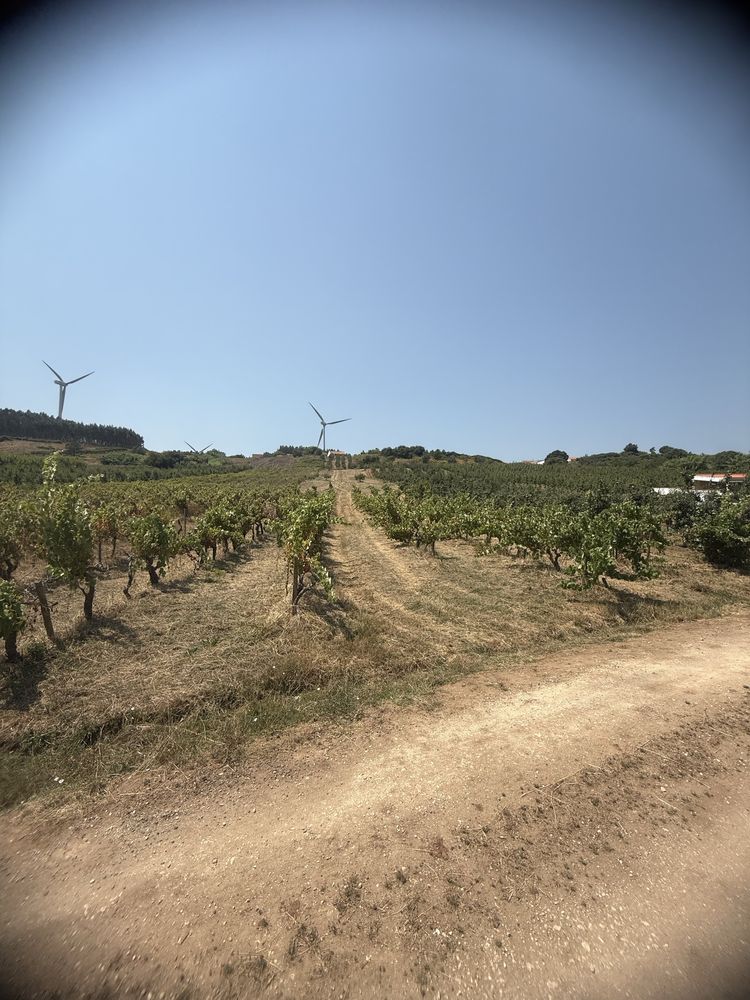 Moradia para venda