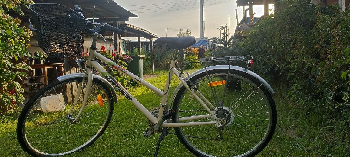 Rower Kross trekking