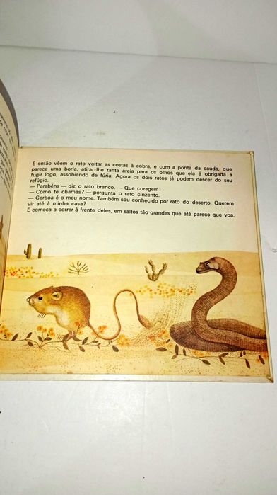 Dois ratos em Viagem - Verbo