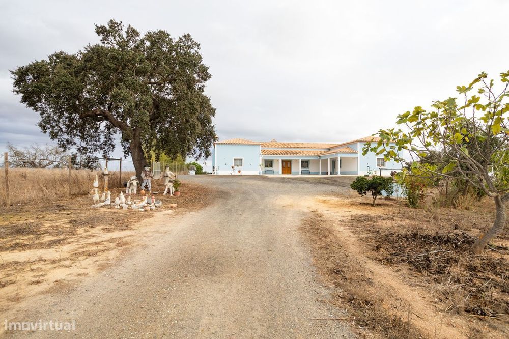 Quinta T4 com Piscina - Conforto e Natureza em Perfeita Harmonia para