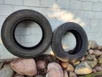 bridgestone 195 65r15 blizzak lm005