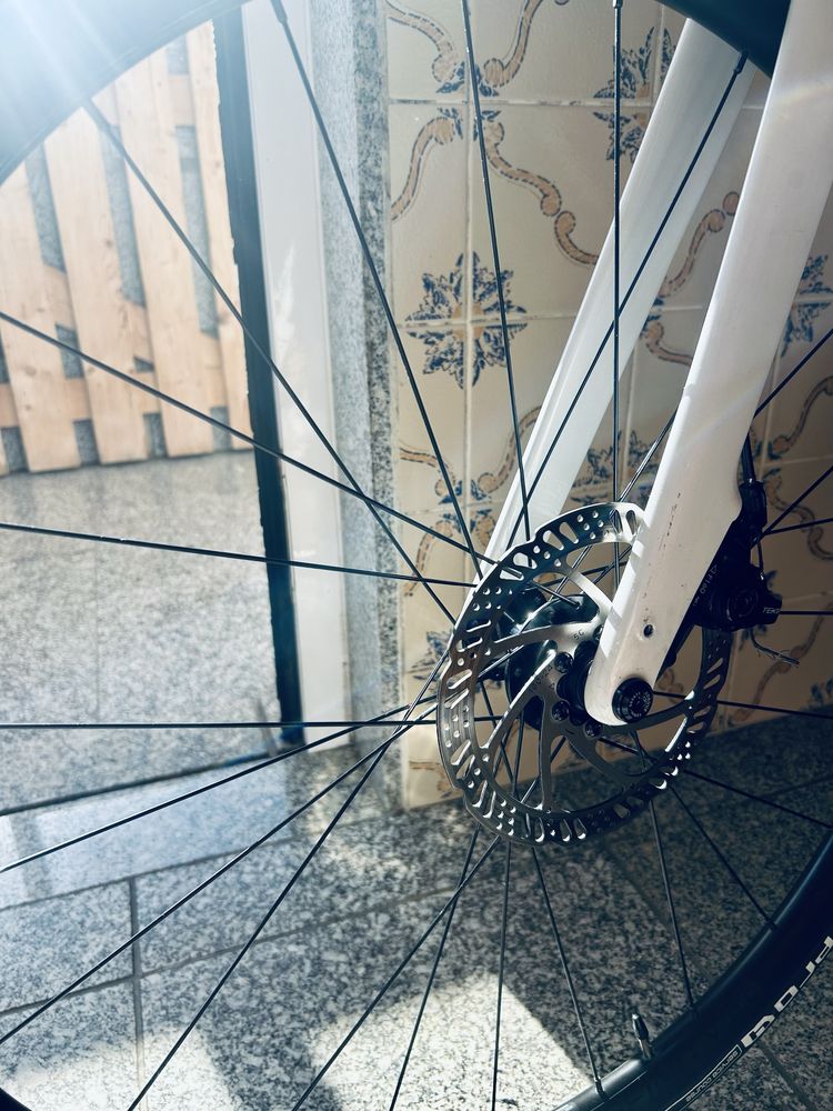 Trek domane AL 3