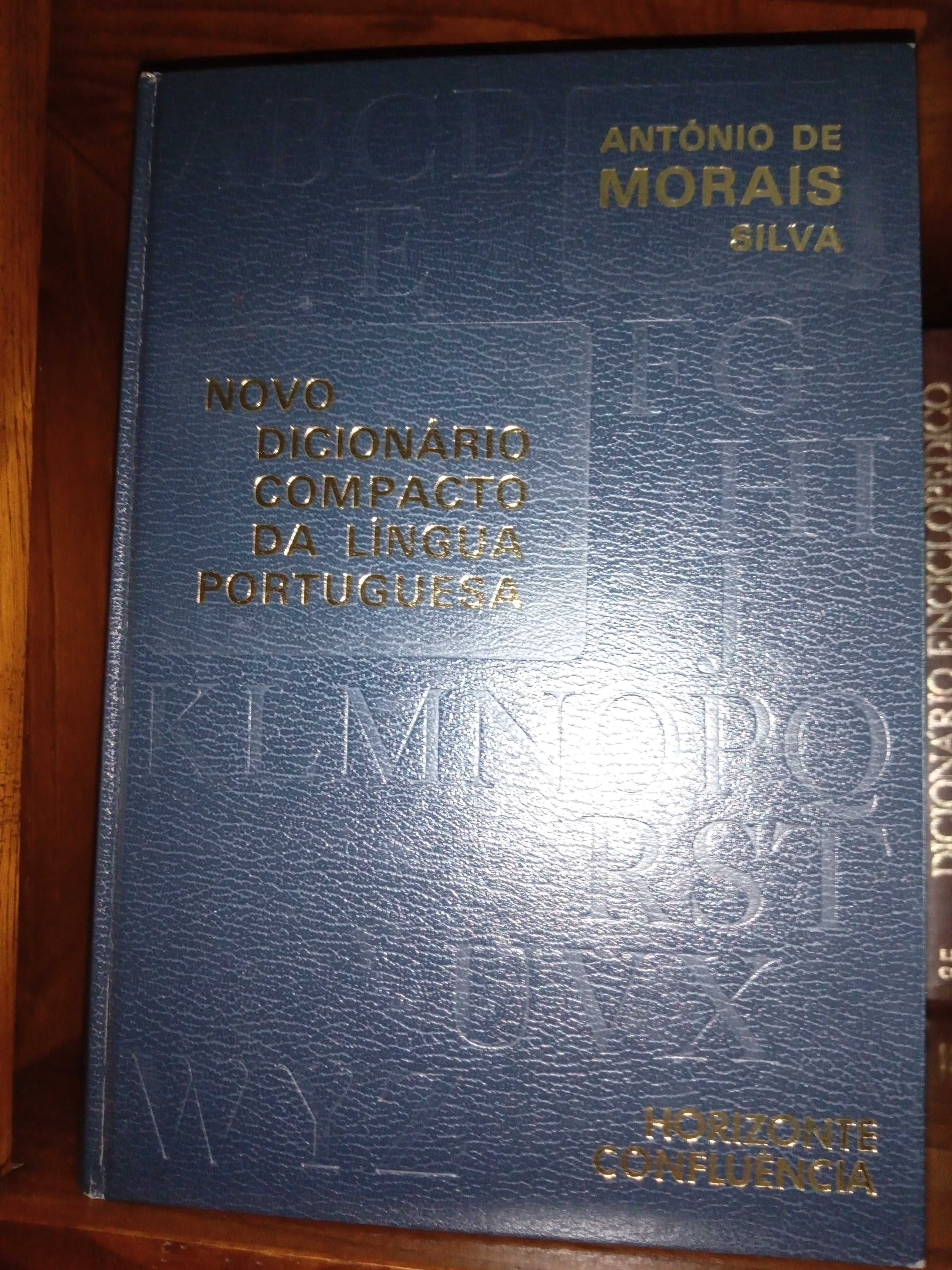 Gramáticas e dicionários antigos