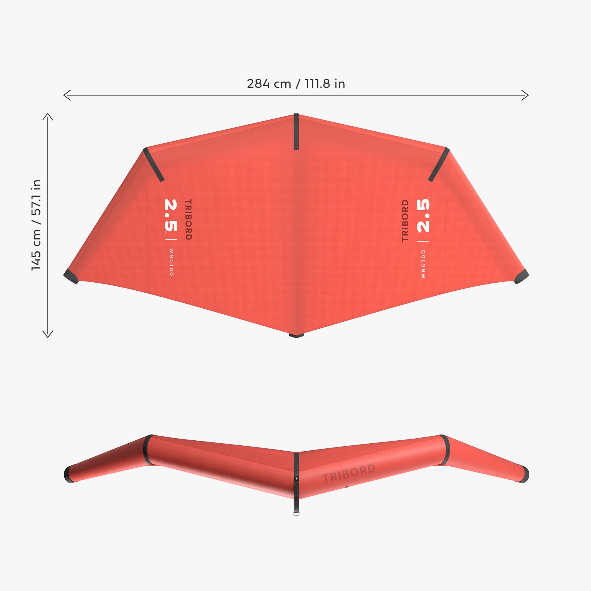 Asa de Wing 2.5 m² - WNG 100
