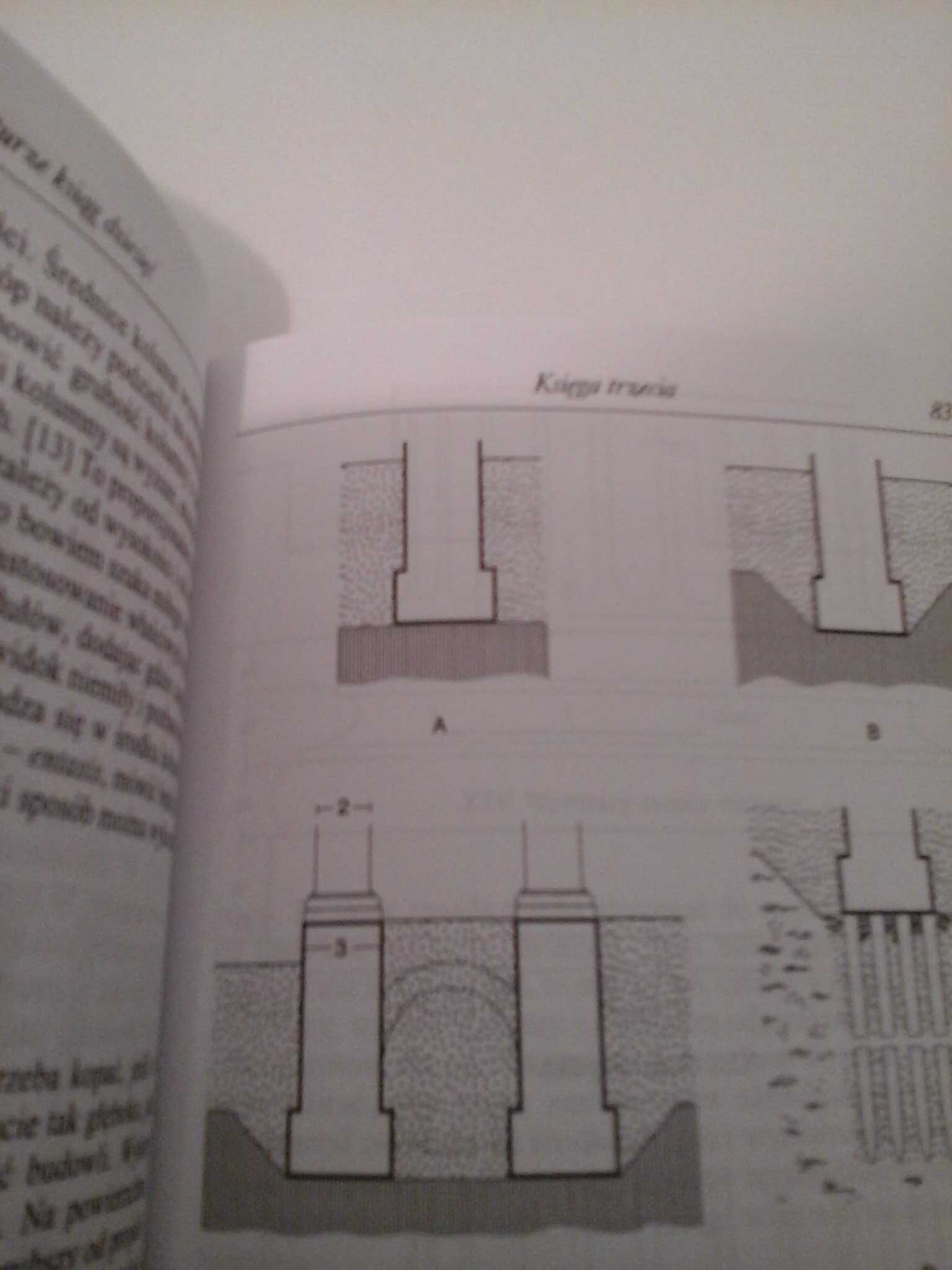 O architekturze ksiąg dziesięć Witruwiusza