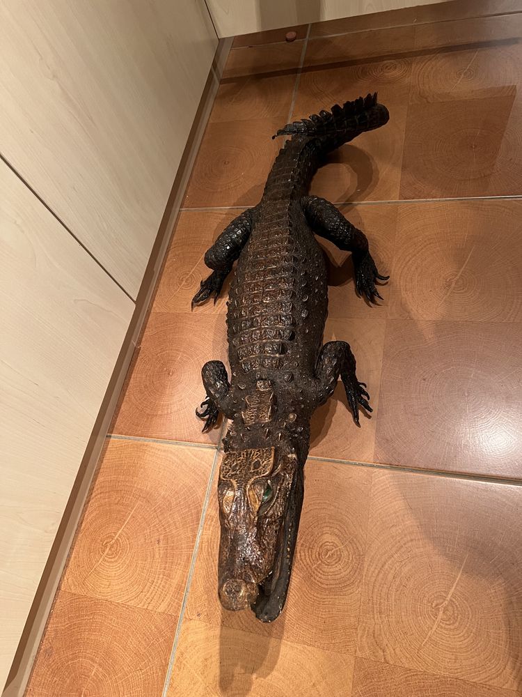 Чучело (опудало) крокодила