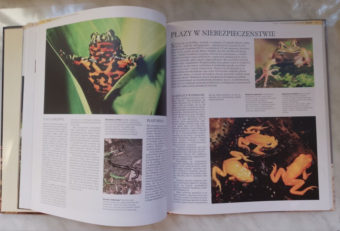 Encyklopedia Zwierząt 4 tomy