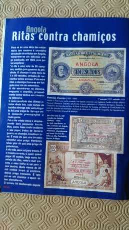 Revista Visão - o Escudo