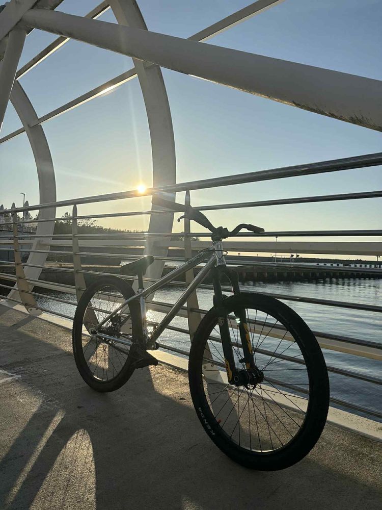rower NsBikes metropolis1