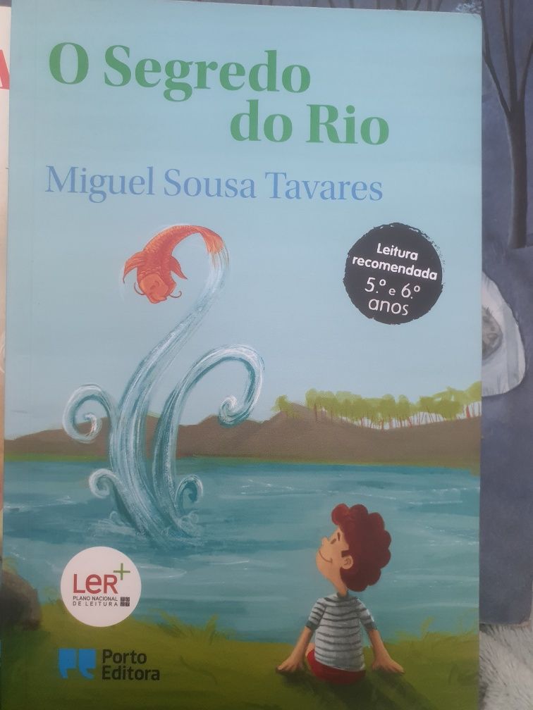 Livros Plano Nacional de Leitura 5⁰ ano