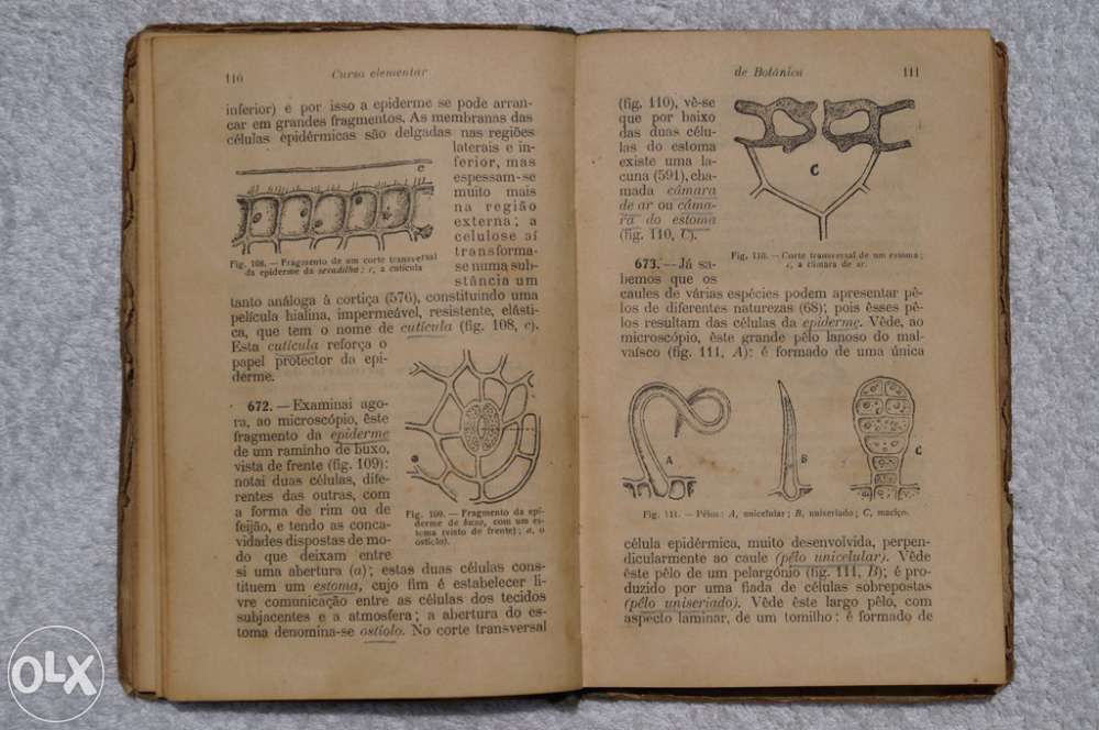 Curso elementar Botânica