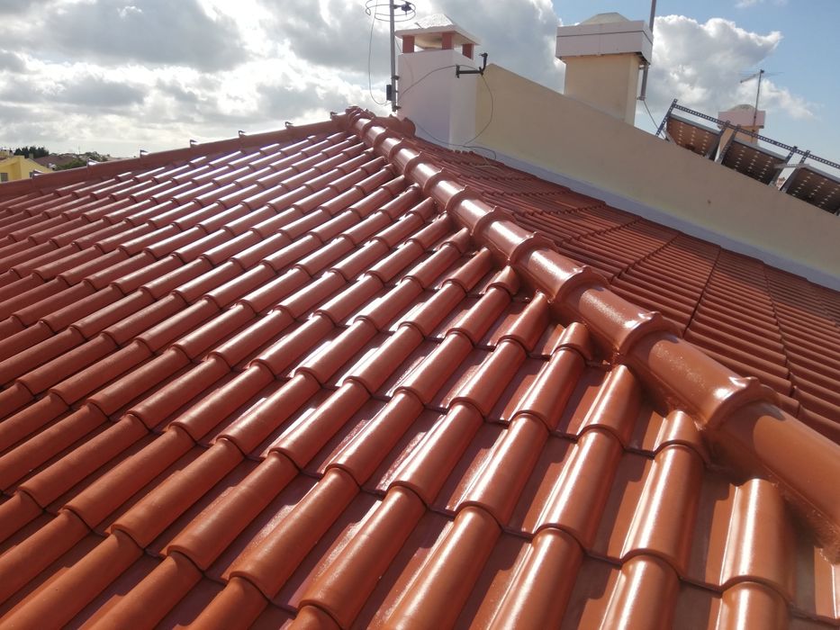 Pinturas, Lavagem e Impermeabilização de telhados, pinturas gerais.