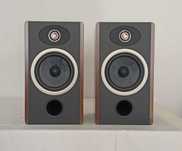 Focal Vestia No 1 -super kolumny