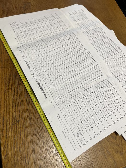 Бланк Развёрнутый учебный план. Пустографка